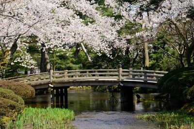 View of bridge over canal in park