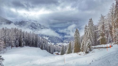 Snow covered trees against sky