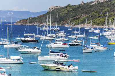 Sailboats moored in sea against sky