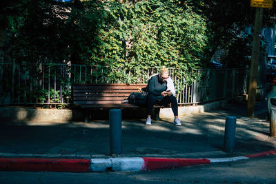 Man sitting on bench against trees