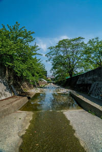 Canal amidst trees against sky