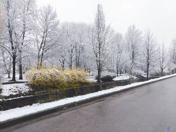 Snow covered road by bare trees against sky