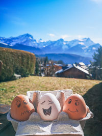 Portrait of smiling eggs  against sky