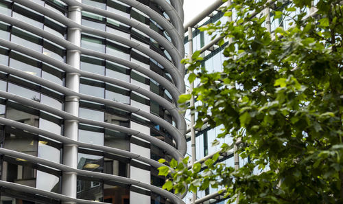 Low angle view of trees and buildings in city