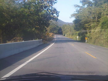 Empty road along trees