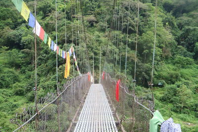 Footbridge over railroad tracks in forest