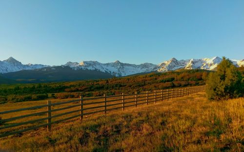 Scenic view of field against clear sky