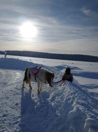 Two dogs on snow covered land