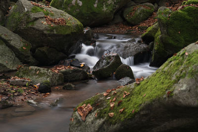 Stream flowing through rocks in forest