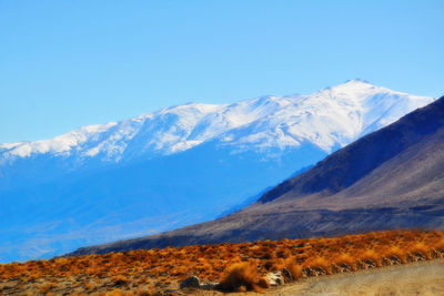 Scenic view of snowcapped mountains against blue sky