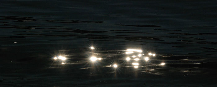 High angle view of illuminated swimming in lake at night