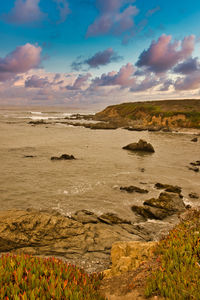 Scenic view of beach against sky during sunset