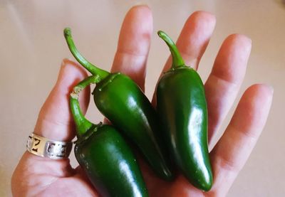 Cropped hand holding green chili pepper