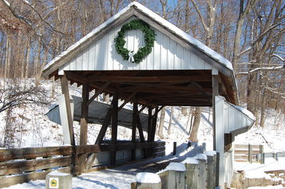 Built structure by bare trees and plants in forest during winter