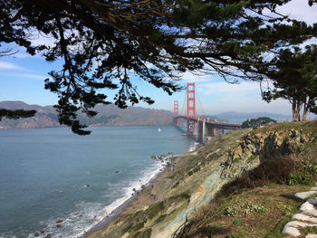 Golden gate bridge over river in front of tree