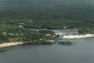 Beautiful aerial view to green flooded rainforest and river beach