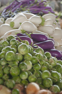 Close-up of food