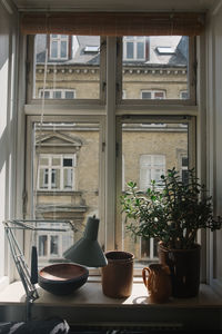 Potted plant with containers on window sill at home