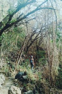 Woman walking on tree in forest