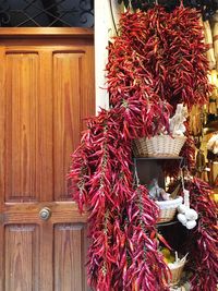 Close-up of christmas tree