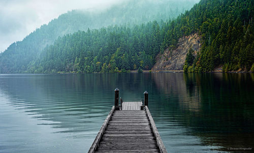 Pier over lake against trees