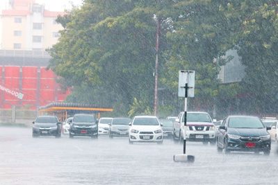 Cars on street in rainy season