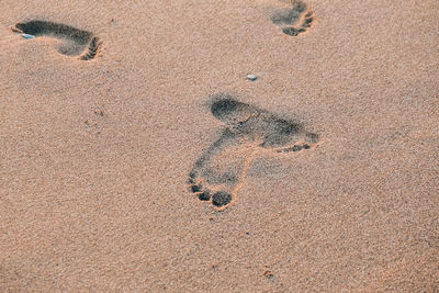 High angle view of footprints on sand