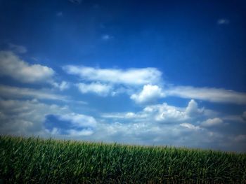 Scenic view of field against cloudy sky