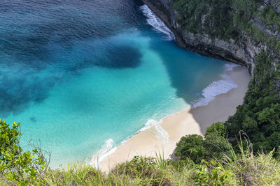 High angle view of sea and trees