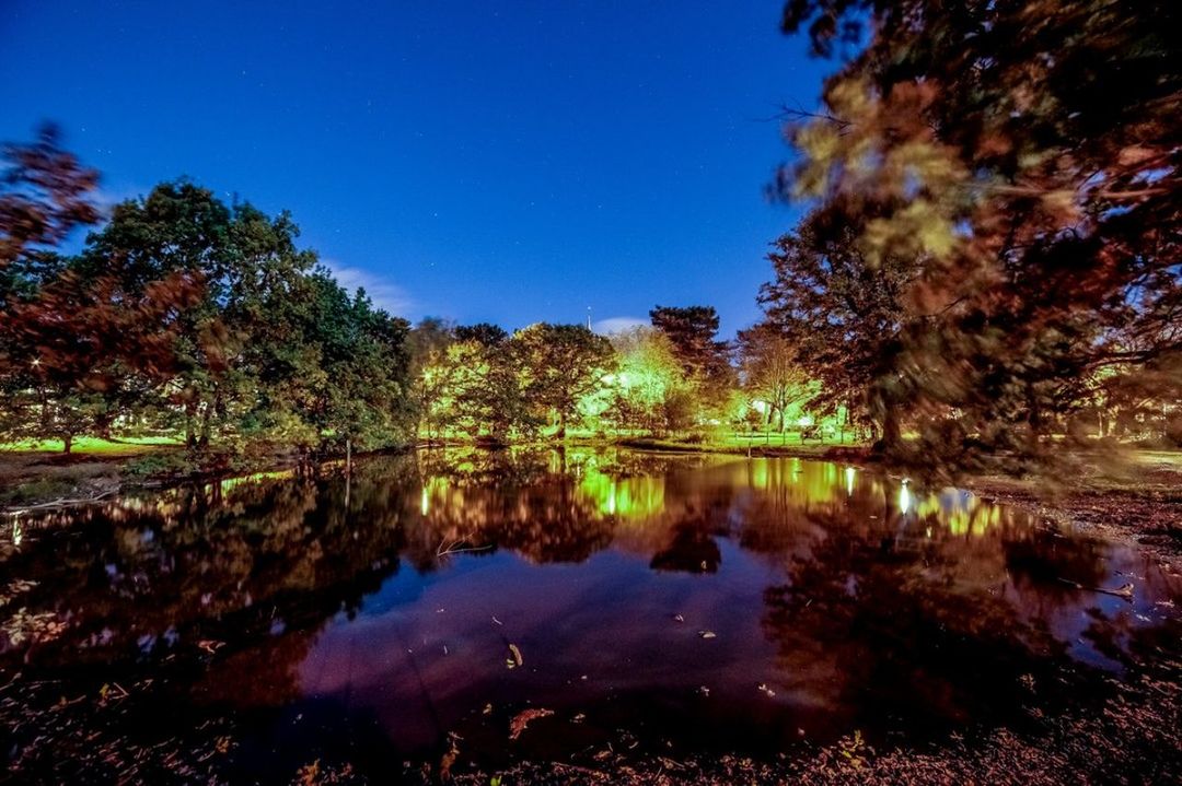 Buckhurst Hill Duck Pond