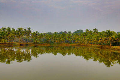 Scenic view of lake by trees against sky