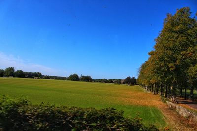 Scenic view of field against clear blue sky