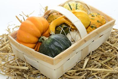 Close-up of pumpkins in container