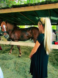 Side view of a horse standing on field