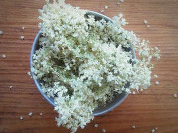 High angle view of flowers in bowl on table