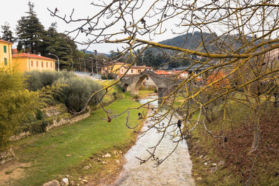 Bare trees and buildings against sky