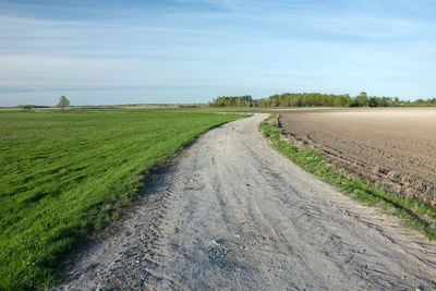 Rural road through a meadow and plowed field, trees on the horizon and white clouds on a blue sky