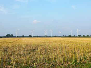 Scenic view of grassy field by windmills against sky