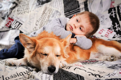 Portrait of cute dog lying on bed at home