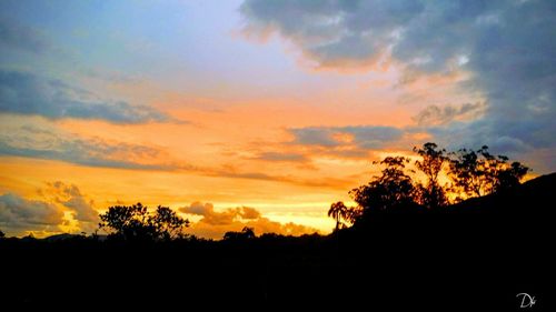 Silhouette trees against dramatic sky during sunset