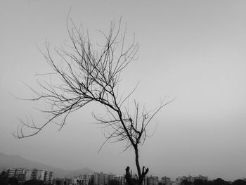 Low angle view of silhouette tree against sky