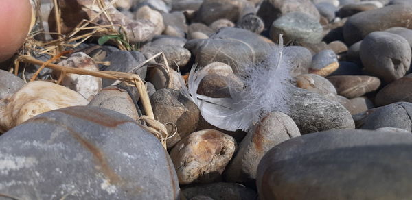 High angle view of stones on pebbles