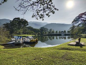 Scenic view of lake by trees against sky