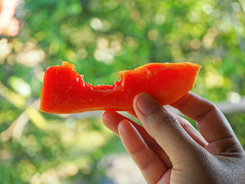 Close-up of hand holding red chili