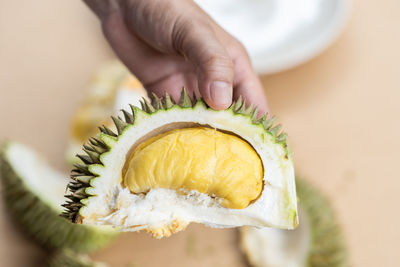 Close-up of hand holding fruit