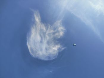 Low angle view of a bird in blue sky