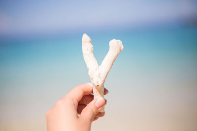 Cropped hand of woman holding coral at beach against sky