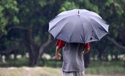 Rear view of man walking with umbrella on field during rain