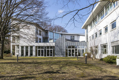 Bare tree in front of built structure