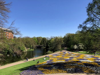 Scenic view of park against clear sky